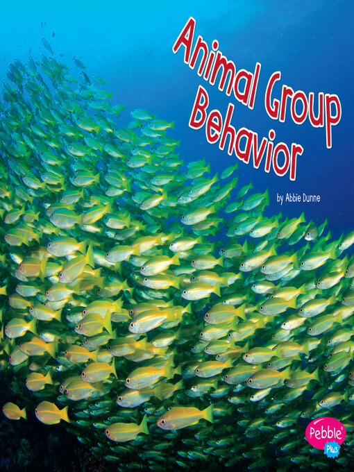 Cover image for Animal Group Behavior